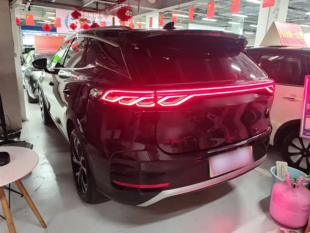 BYD Tang New Energy 2025 DM-i 115KM Premium фото 5