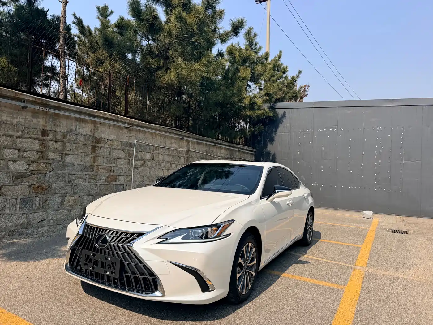 Lexus ES 2024 200 Premium Edition
