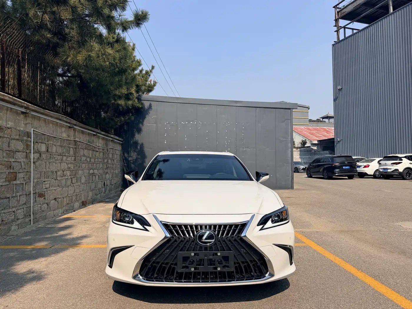 Lexus ES 2024 200 Premium Edition фото 2