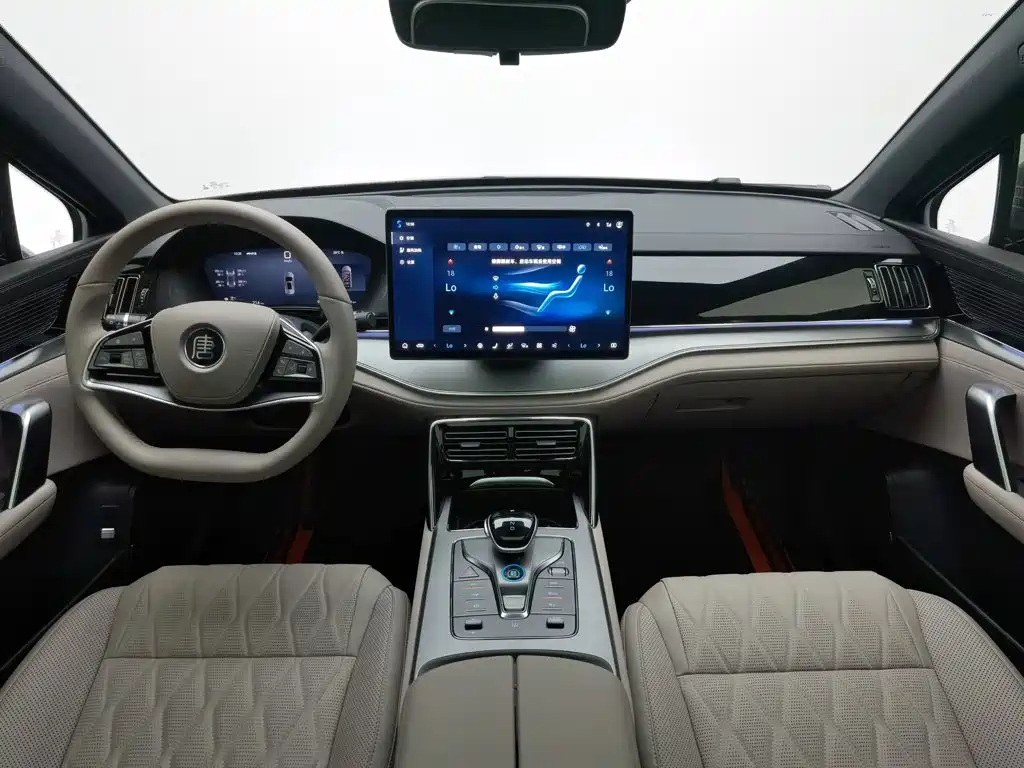 2025 BYD Tang New Energy