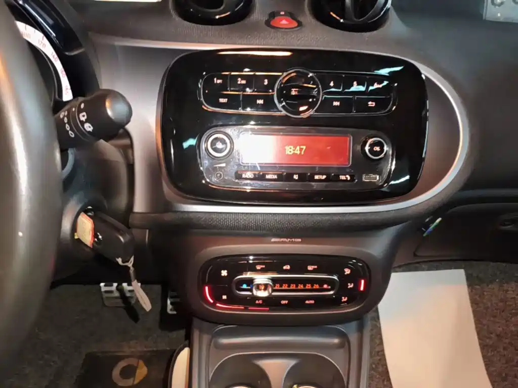 Фото 13 - smart forfour