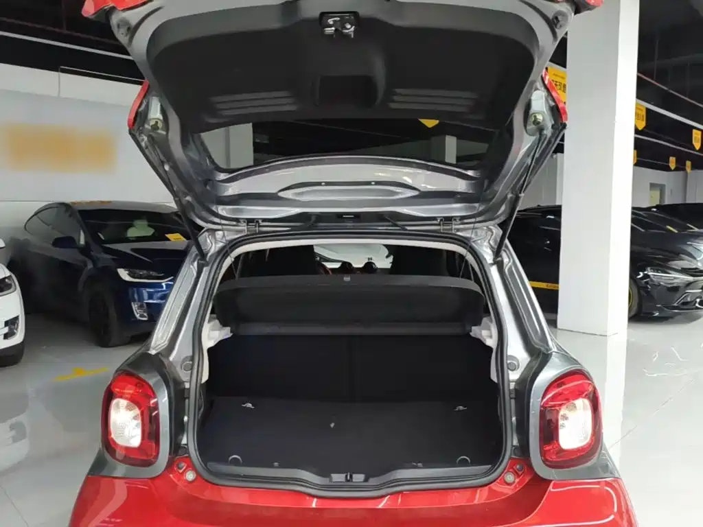Фото 19 - smart forfour