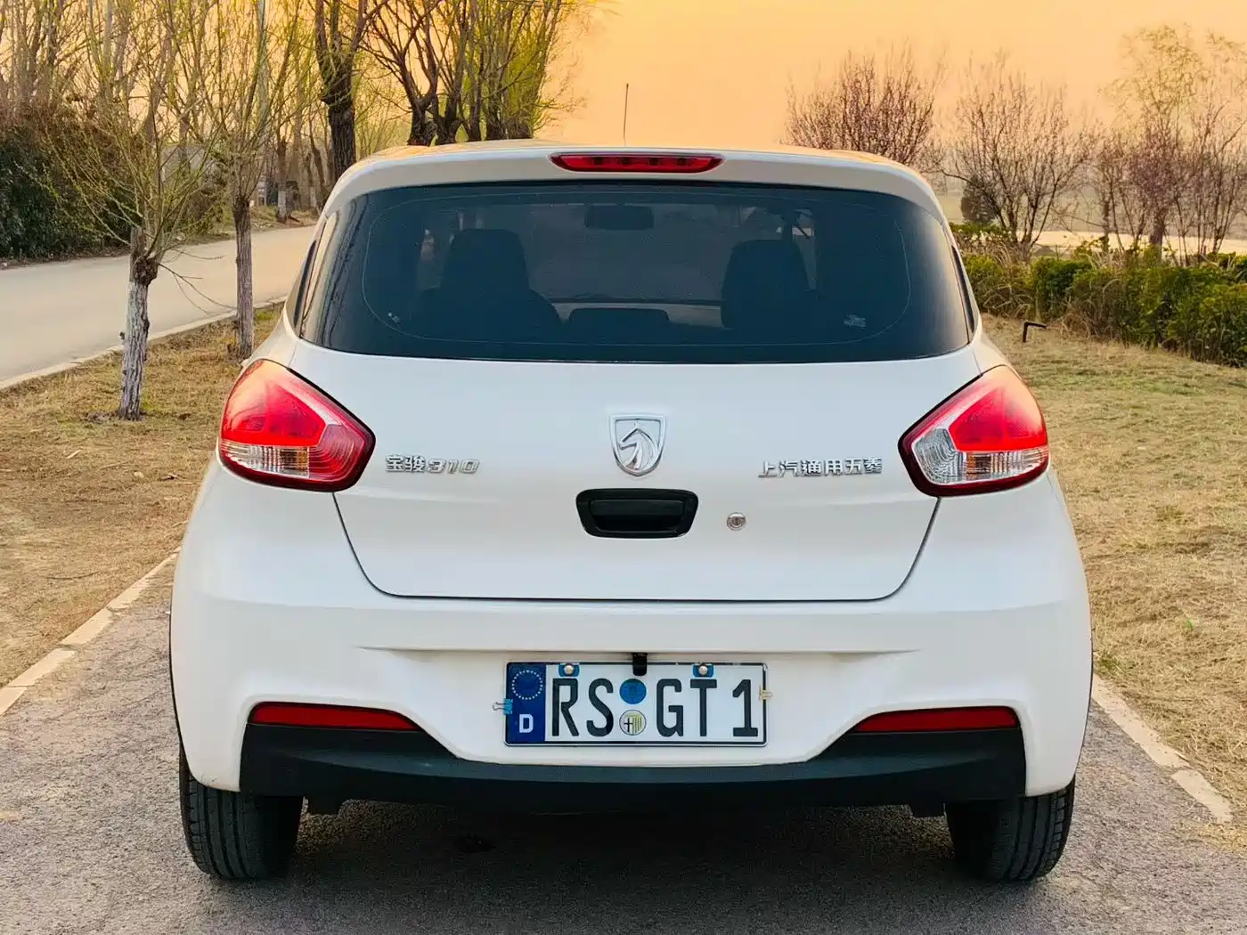 BAOJUN 310