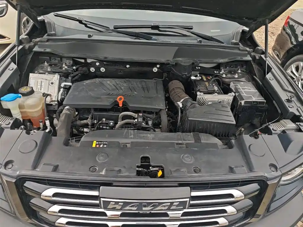 Haval Big Dog 2021 1.5T DCT 2WD Labrador Edition фото 20