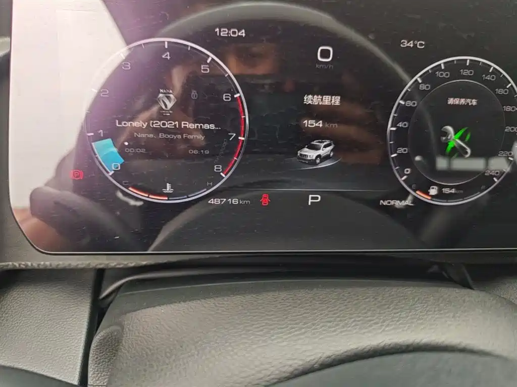 Haval Big Dog 2021 1.5T DCT 2WD Labrador Edition фото 12