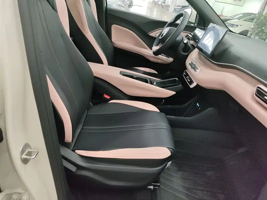 BYD Seagull 2025 Smart Drive Edition 305km Vitality Version фото 25