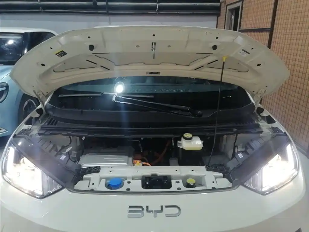 BYD Seagull 2025 Smart Drive Edition 305km Vitality Version фото 20