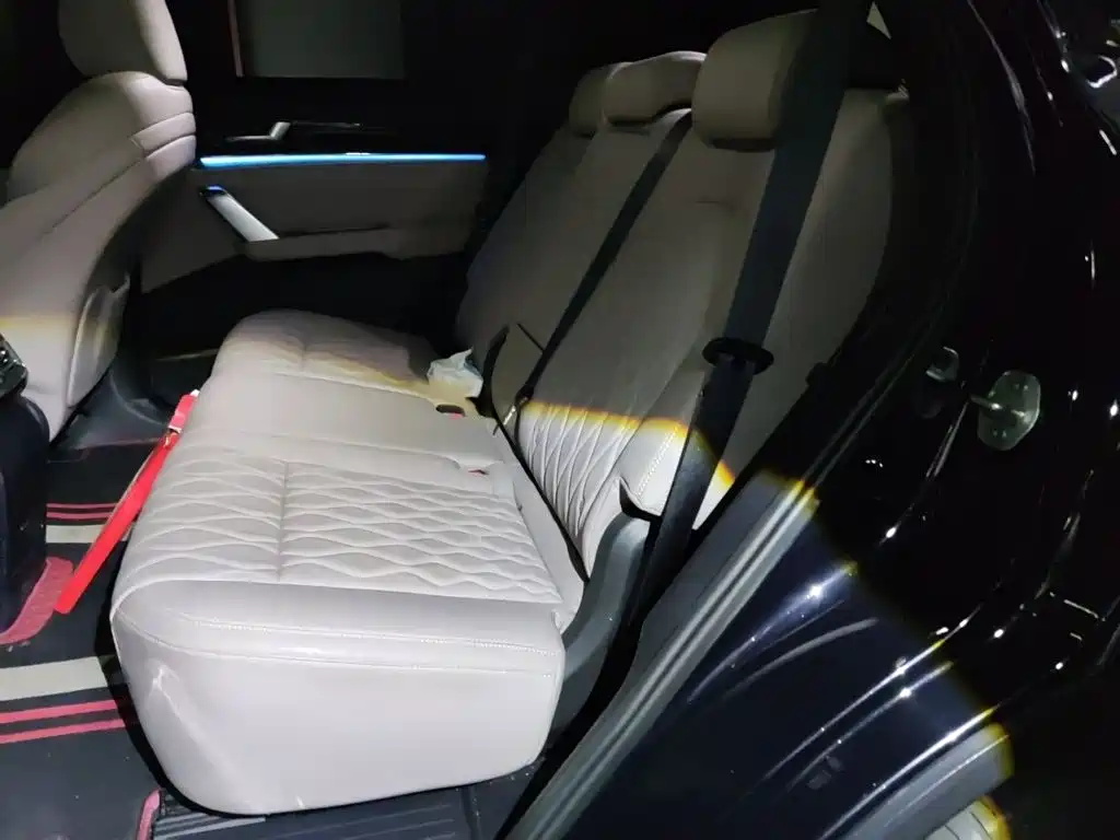 BYD Tang New Energy 2025 2025 Smart Driving Edition DM-i 115KM Premium
