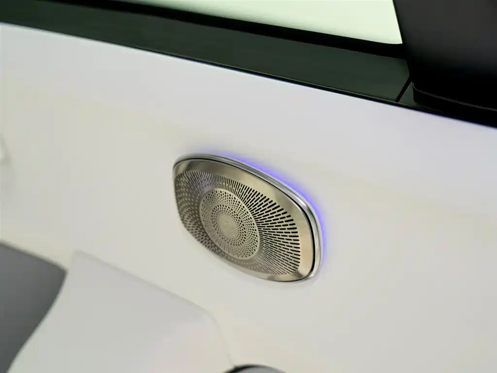 Mercedes-Benz Maybach GLS 2022 GLS 600 4MATIC Etiquette Edition фото 18