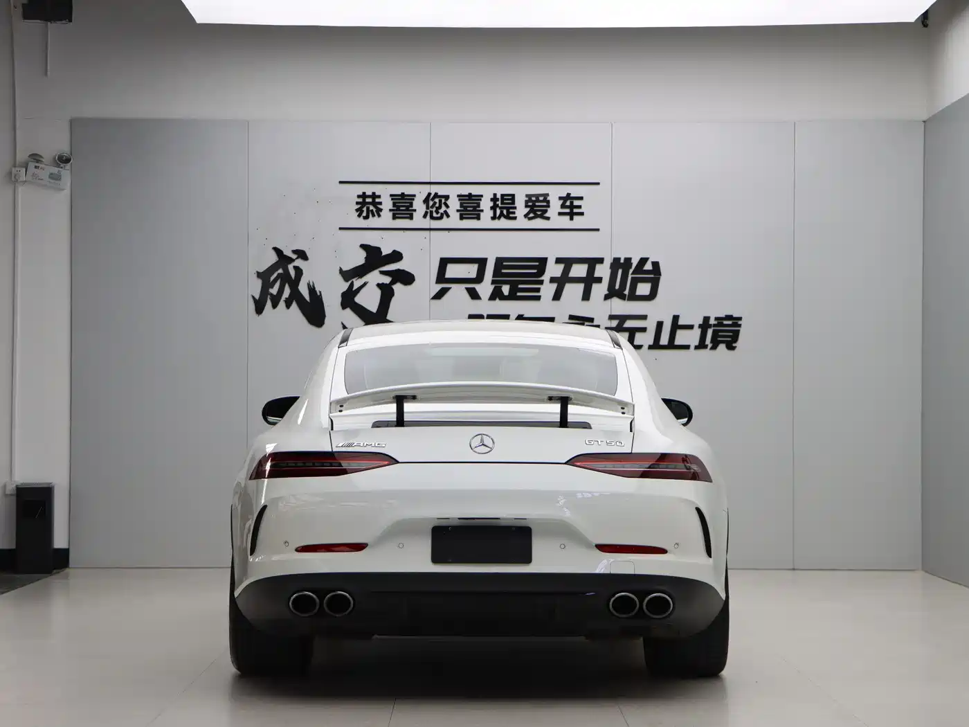 Mercedes-Benz AMG GT 2019 AMG GT 50 4-Door Coupe фото 5