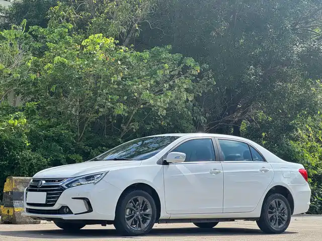 byd qinxin-energy
