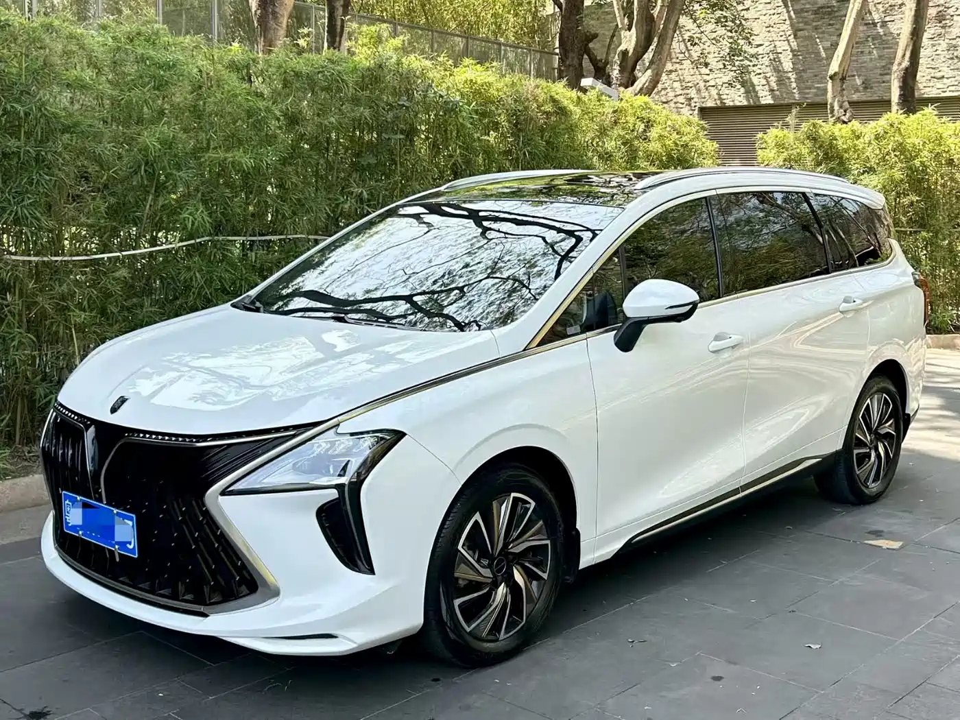 DONGFENG POPULAR YACHTS