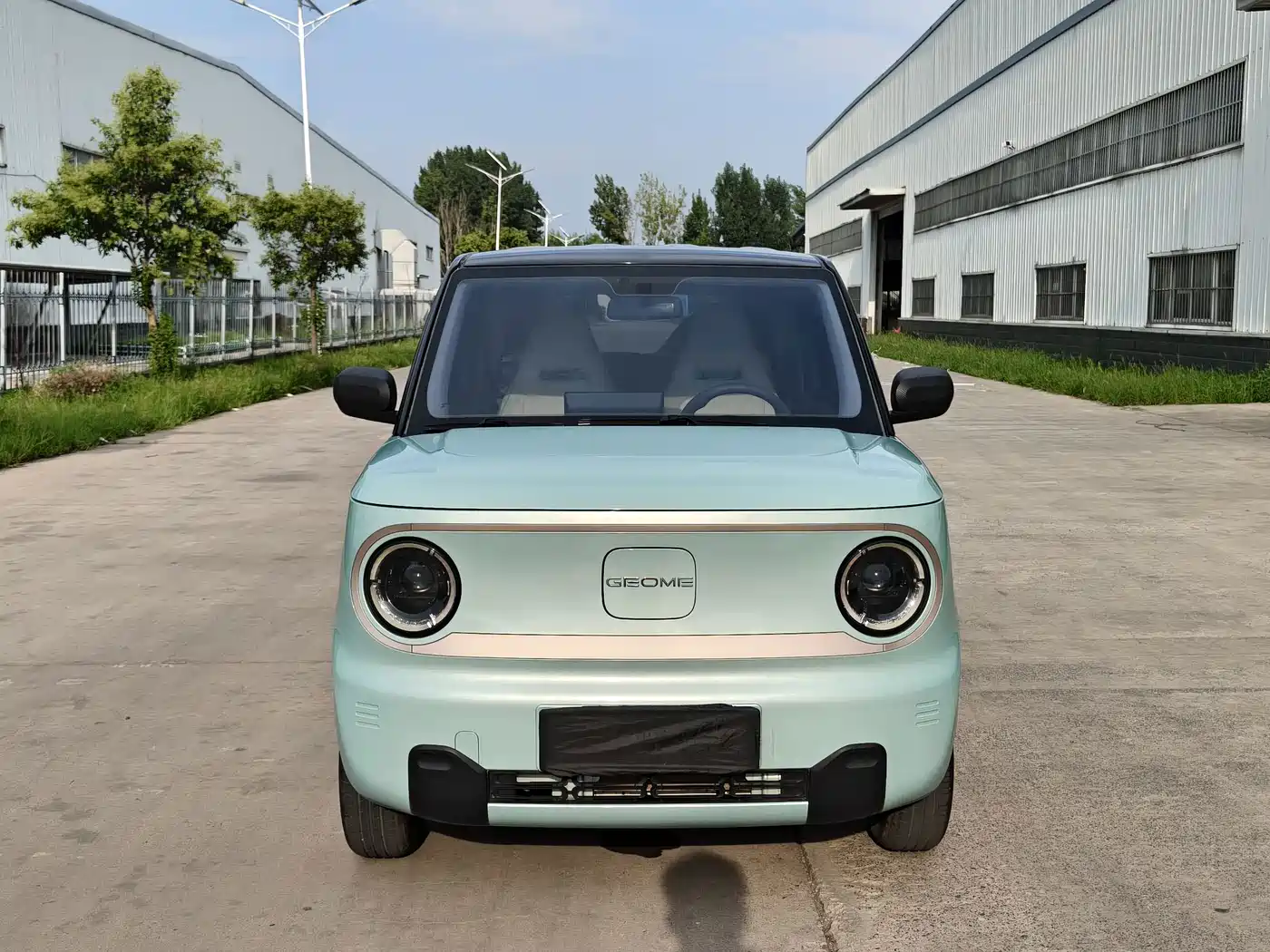 Geely Galaxy Panda 2023 2023 Panda Mini 200km Lively Bear