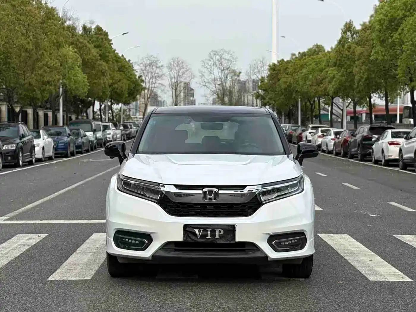 Honda Avancier 2017 2017 240TURBO 2WD Premium Edition