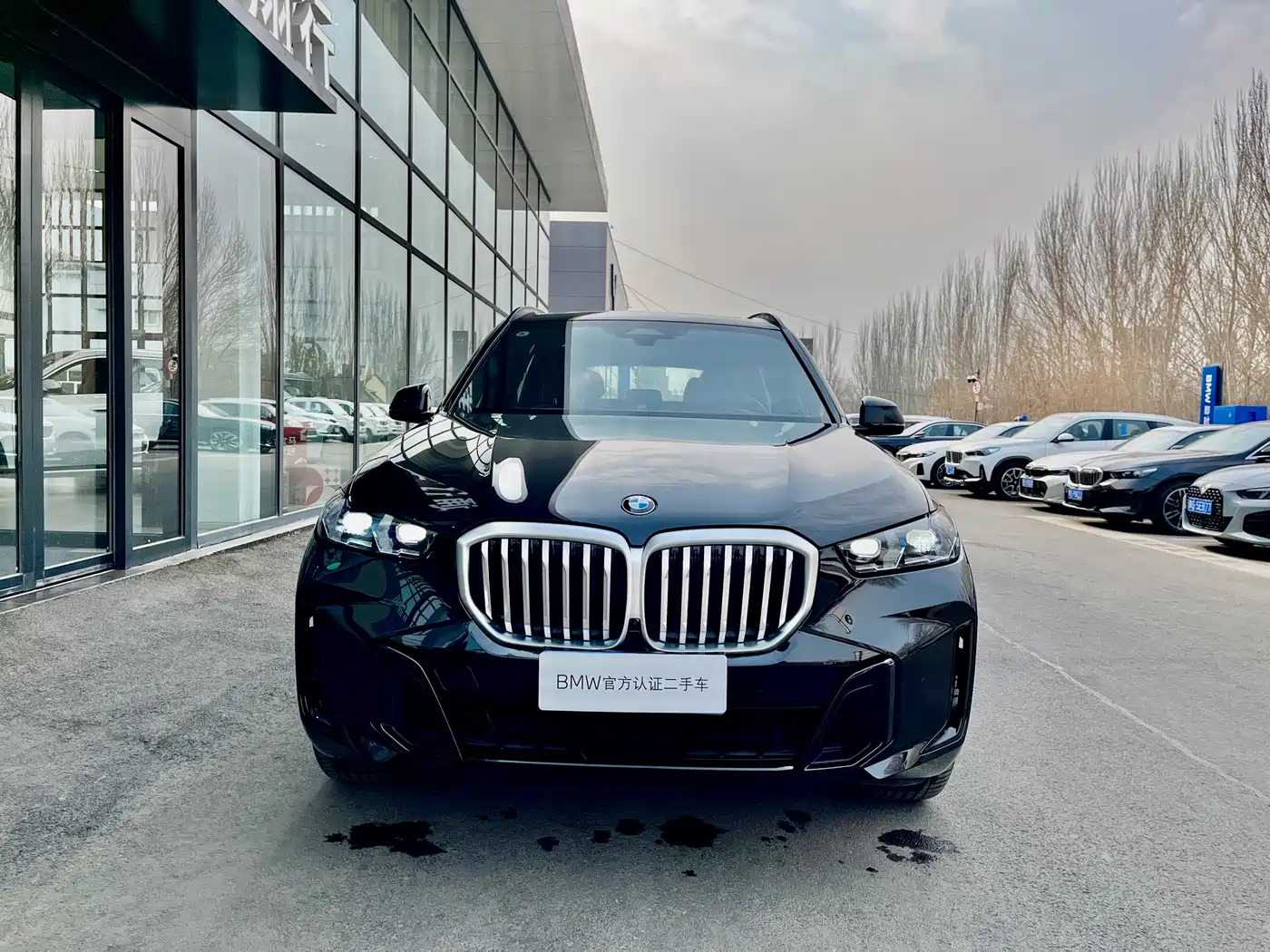 BMW X5 2025 Model xDrive 40Li M Sport Blackout Package фото 2