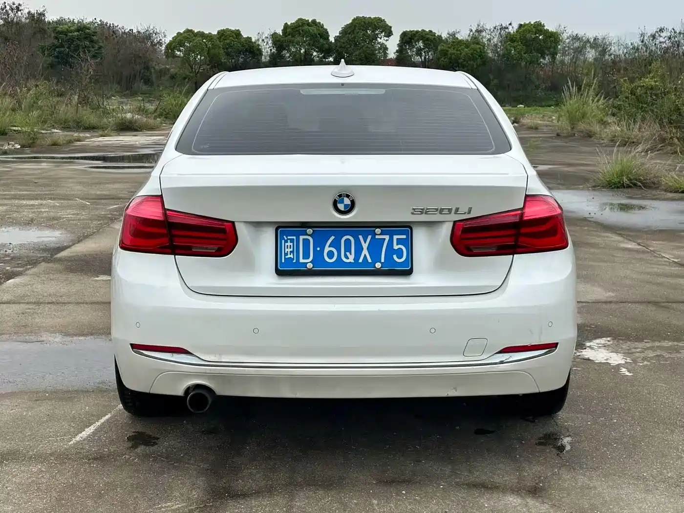BMW 3 Series 2016 320Li Luxury Design Package фото 5