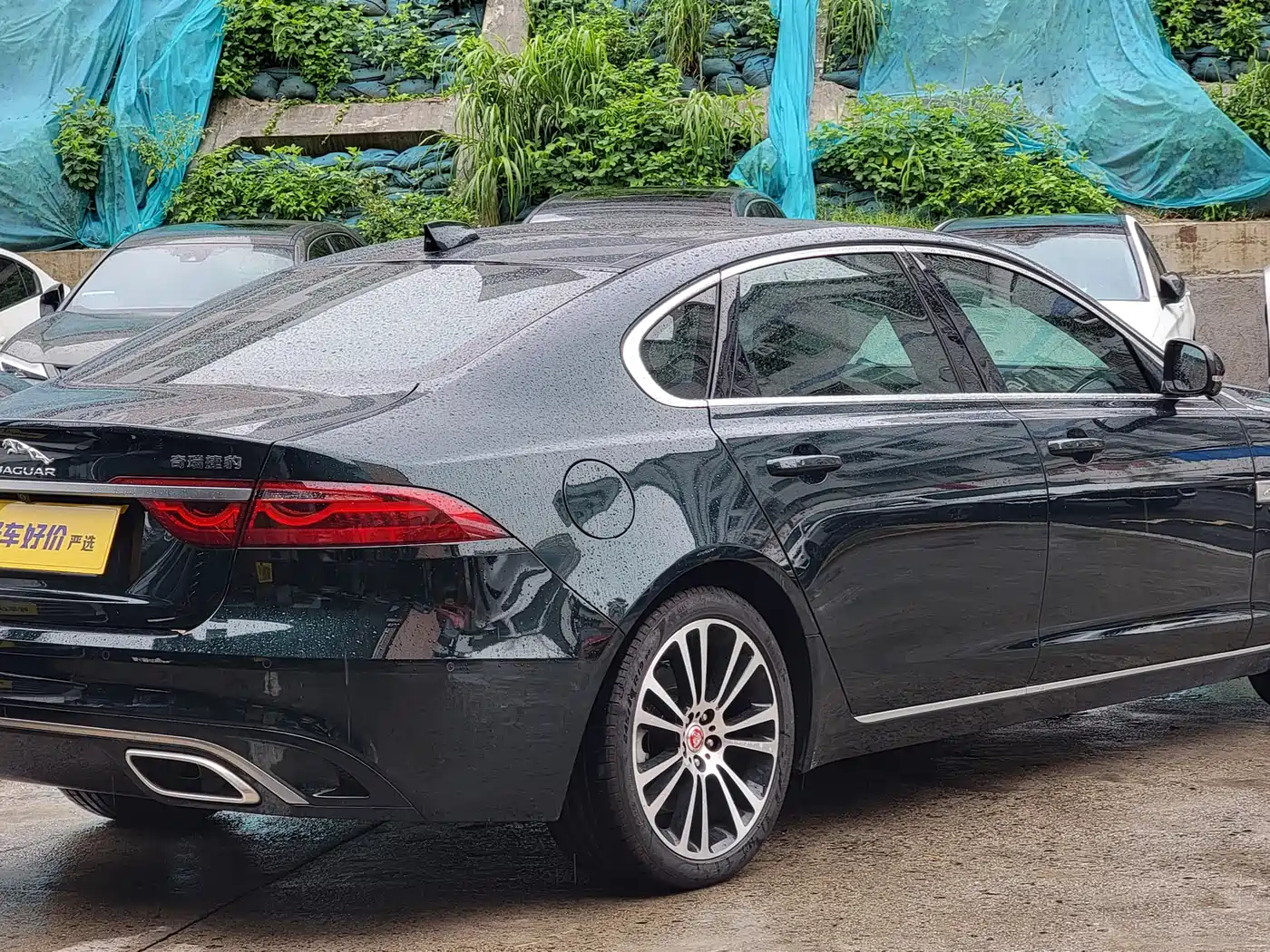 JAGUAR XFL