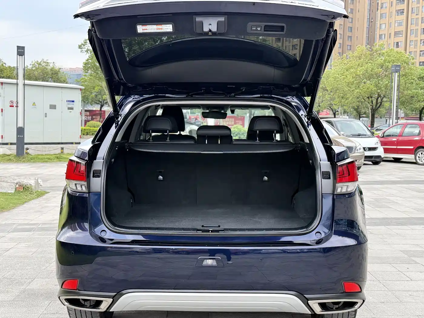 Lexus RX 2020 Facelift 300 AWD Elegance Edition фото 20