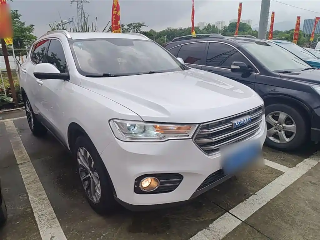 Haval H6 2017 Blue Label 2.0T Automatic 2WD Smart Edition фото 4