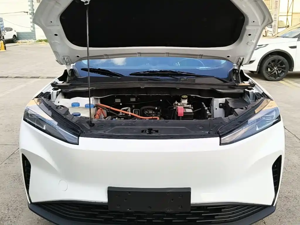 Dongfeng Aeolus SKY EV01 2024 2024 530km PRO