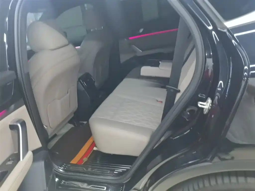 BYD Tang New Energy 2024 DM-p Glory Edition 215KM AWD Premium фото 17