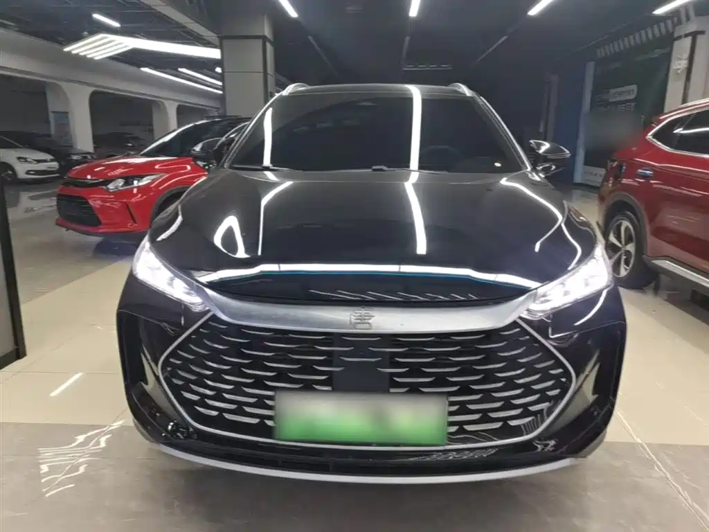 BYD Tang New Energy 2024 DM-p Glory Edition 215KM AWD Premium фото 3