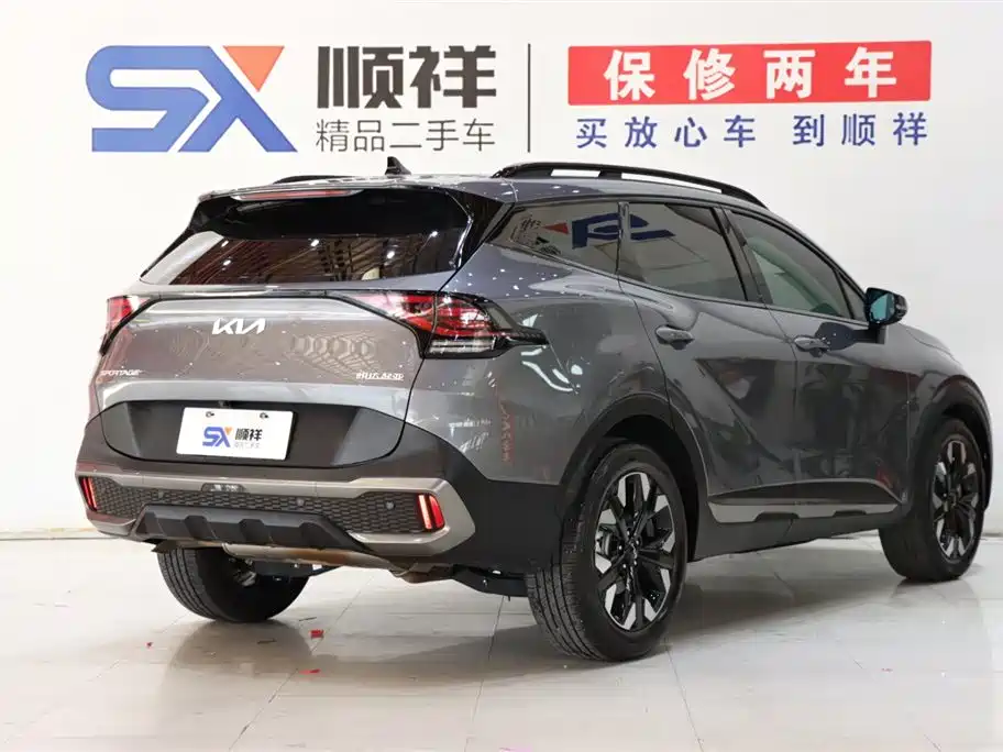 KIA LION PLATINUM EXPANDS THE WORLD