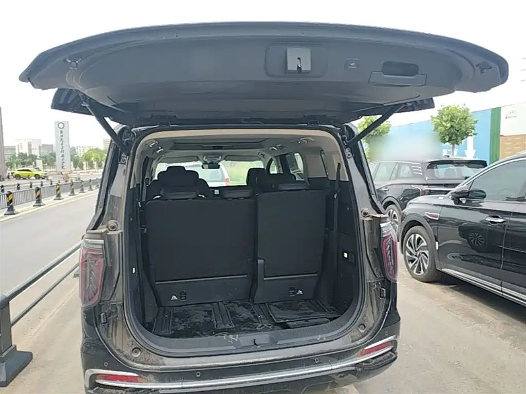Hongqi HQ9 PHEV 2024 Model 2.0T AWD Business Edition фото 19