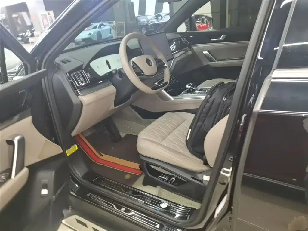 BYD Tang New Energy 2024 DM-p Glory Edition 215KM AWD Premium фото 15