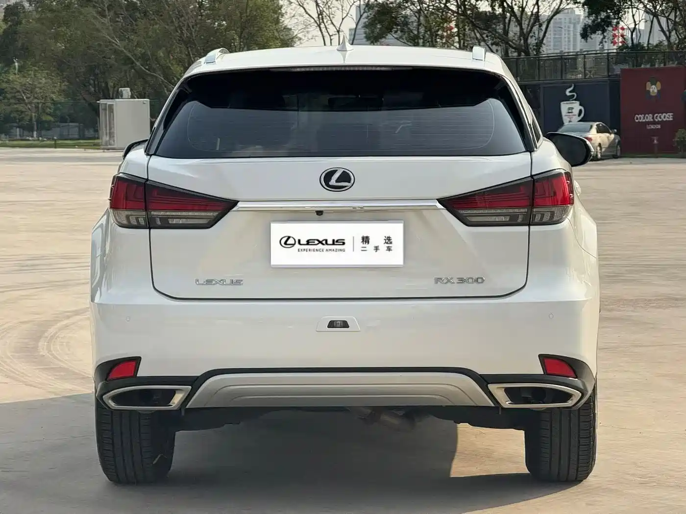 Lexus RX 2020 Facelift 300 2WD Elite Edition фото 4
