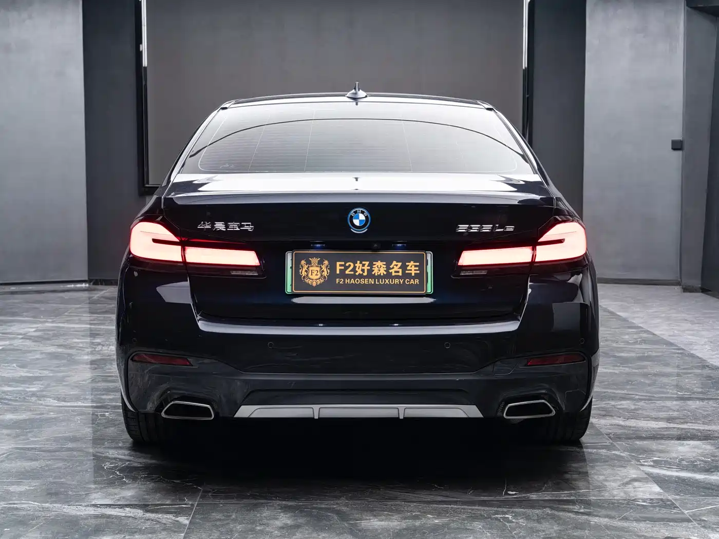BMW 5 Series New Energy 2022 Model Second Facelift 535Le M Sport Package фото 11