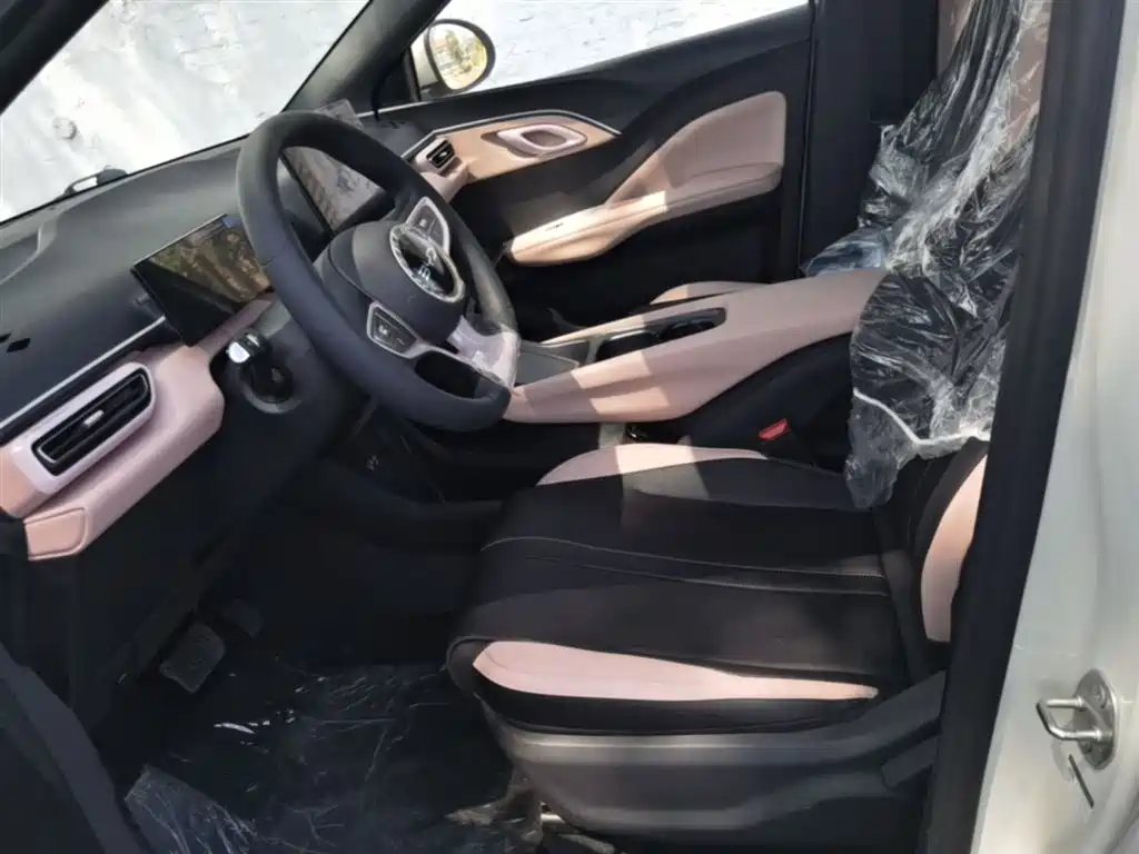BYD Seagull 2025 Smart Drive Edition 305km Vitality Version фото 15