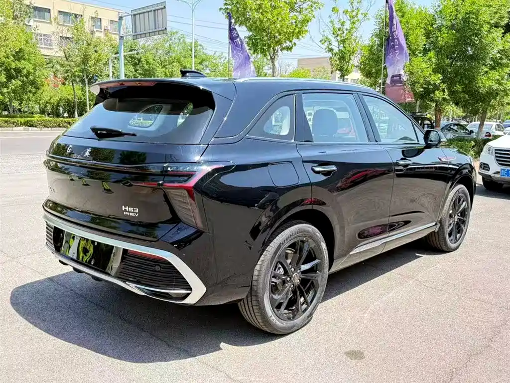 Hongqi HS3 PHEV 2025 125km Jingwei 2 Million Commemorative Edition фото 2