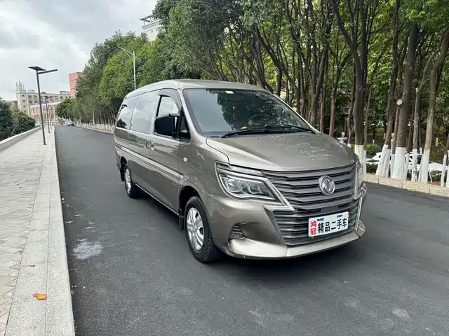 dongfeng lingzhi