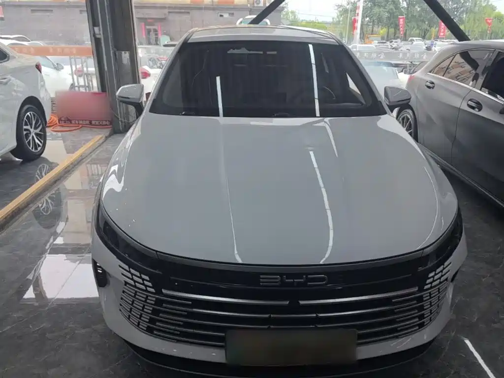 BYD Destroyer 05 2024 Glory Edition DM-i 55KM Luxury фото 3