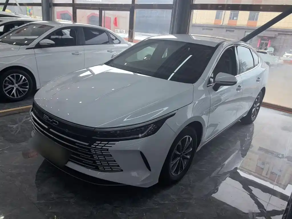 BYD Destroyer 05 2024 Glory Edition DM-i 55KM Luxury фото 2