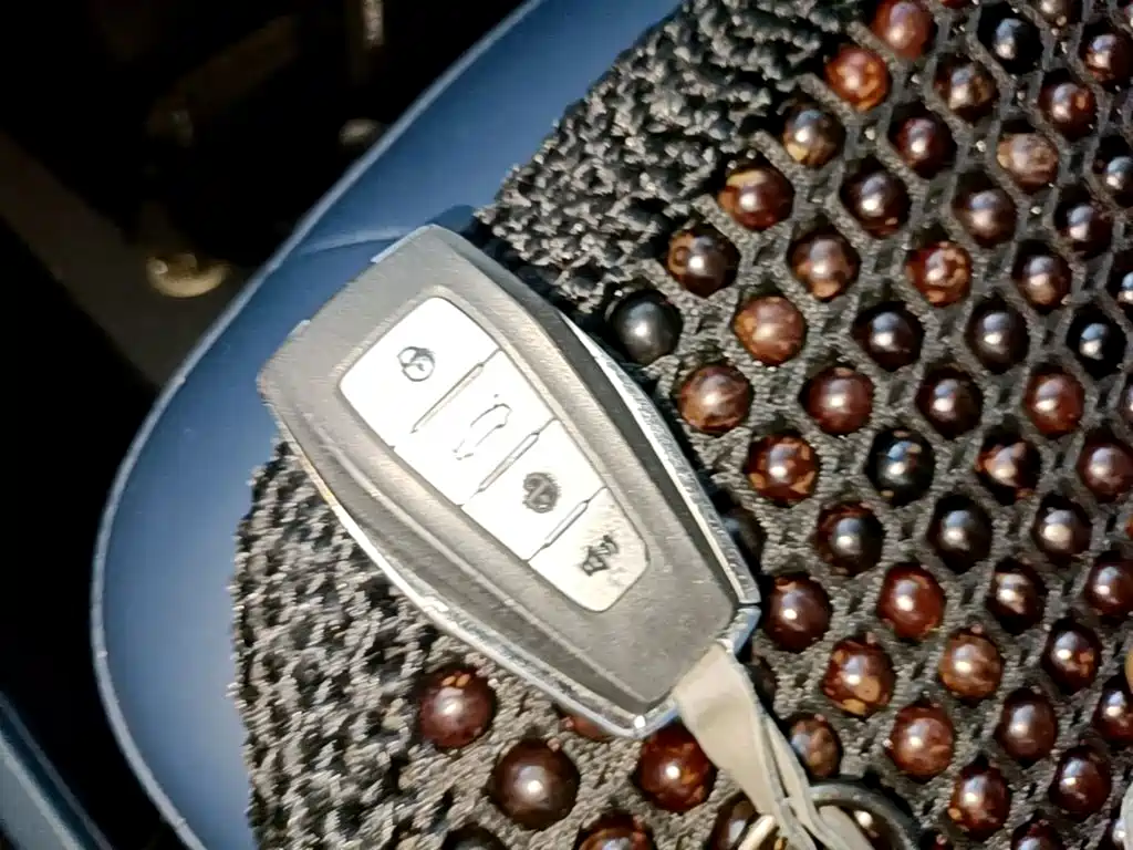 Geely Geometry E Firefly 2022 2022 401KM Delicate Tiger 4-seater