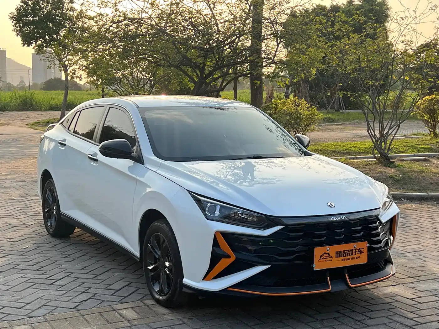 DONGFENG YI HYUN