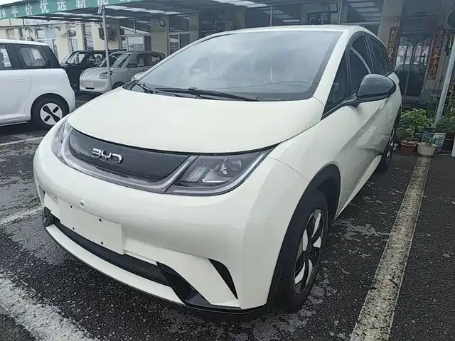 BYD Dolphin 420km, Свобода