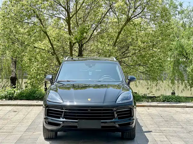 Porsche Cayenne 2023 Cayenne 3.0T Platinum Edition — фото 2