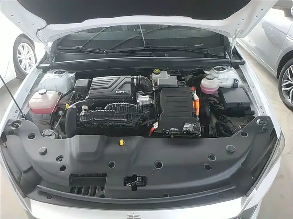 BYD Qin PLUS 2024 Glory Edition DM-i 55KM Leading фото 20