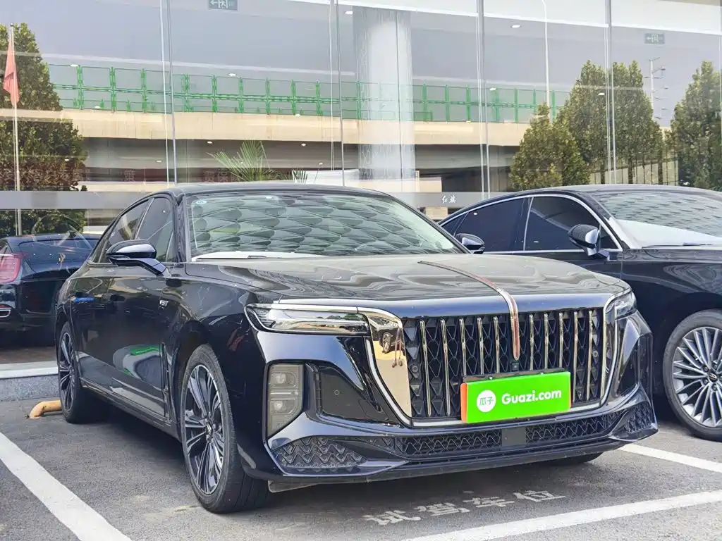 Hongqi H9 2025 2024 2.0T Qi Enjoy Private Fashion Edition