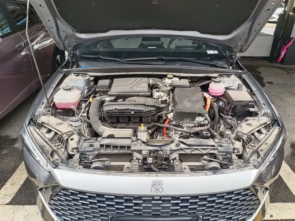 BYD Qin PLUS 2024 Glory Edition DM-i 55KM Leading фото 20