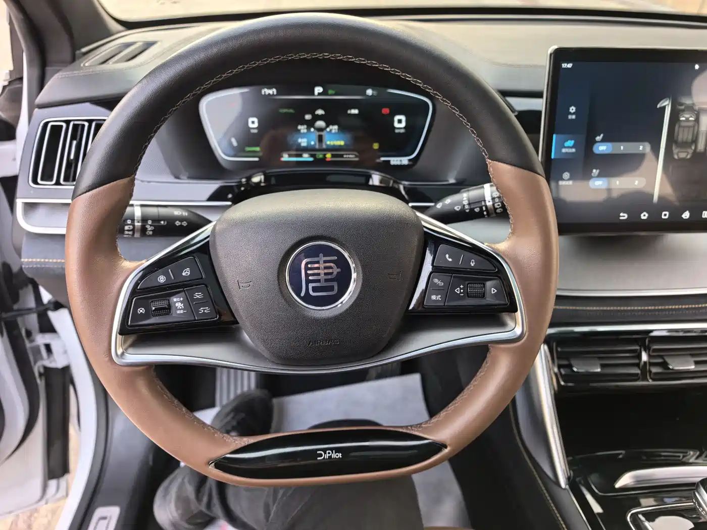 BYD Tang New Energy 2021 DM-i 112KM Premium фото 14