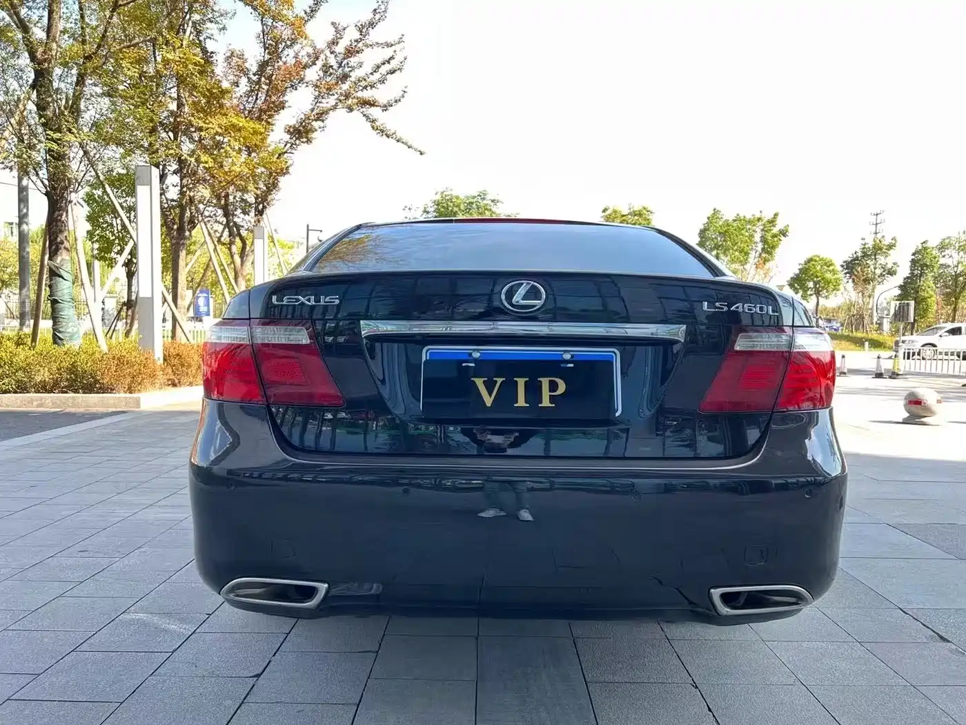Lexus LS 2006 460L Premium Edition фото 7