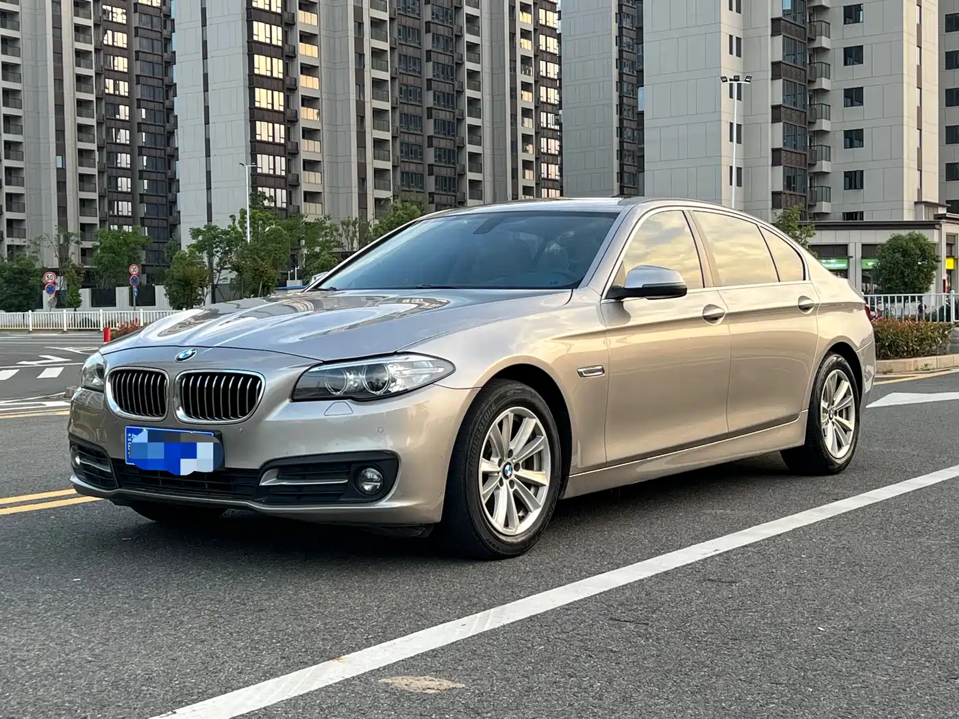 BMW 5 Series 2014 520Li Elegance