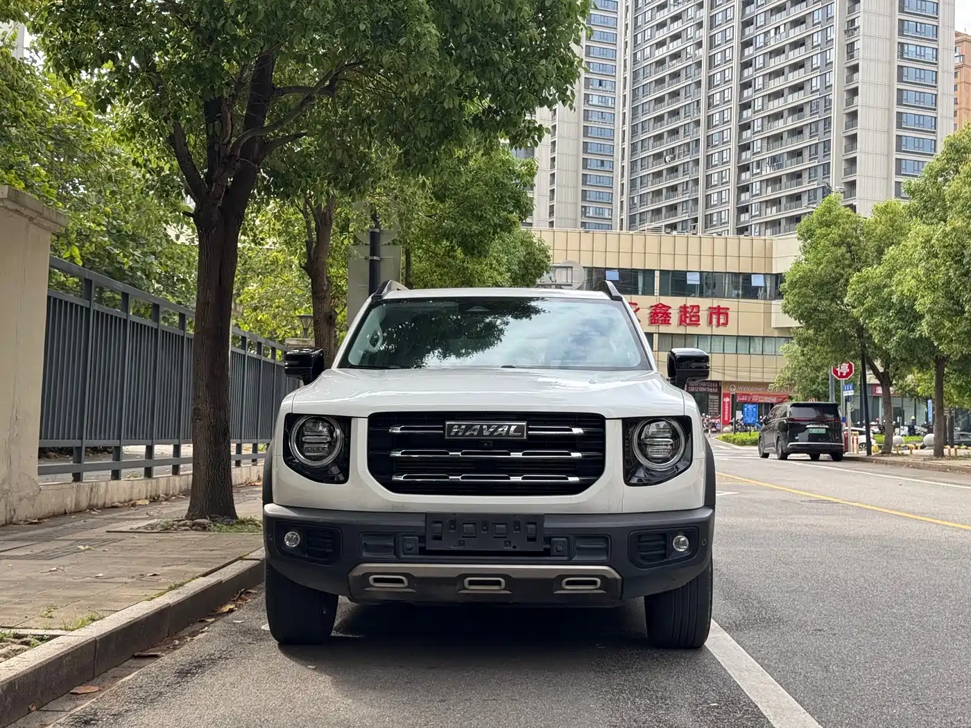 Haval Big Dog 2021 1.5T DCT 2WD Border Collie Edition
