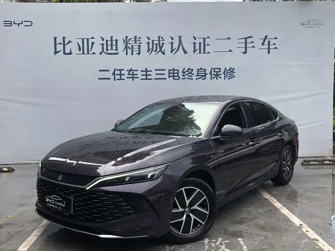 BYD QIN L