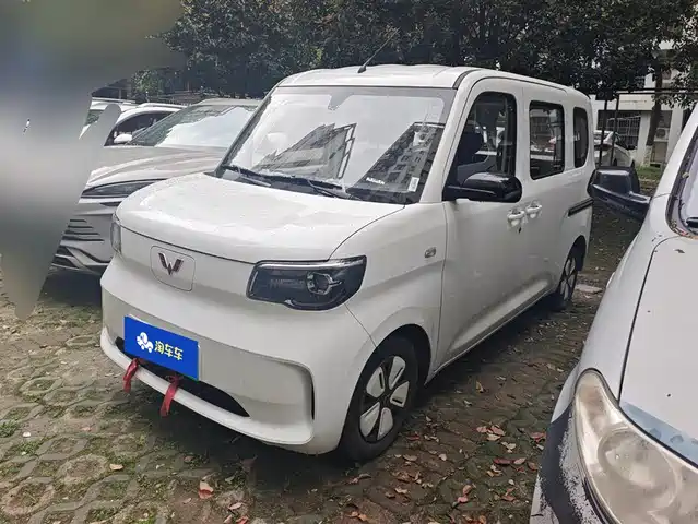 WULING WULING ZHIGUANG NEW ENERGY
