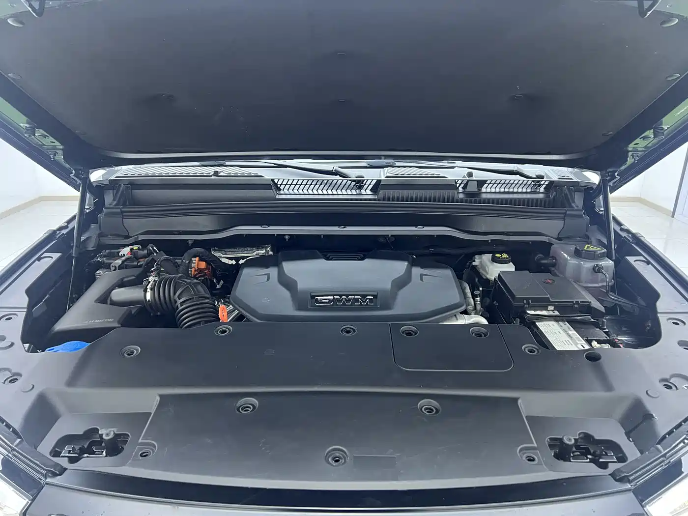 Tank 400 New Energy 2024 Hi4-T Off-Road Edition фото 10